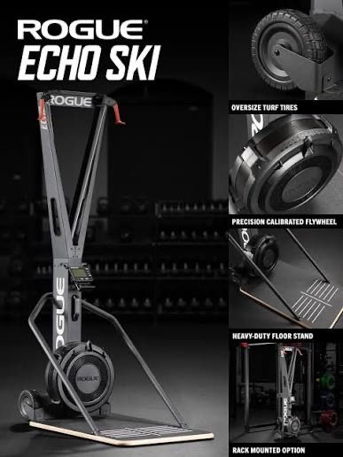 Rogue Echo Ski - Like New!