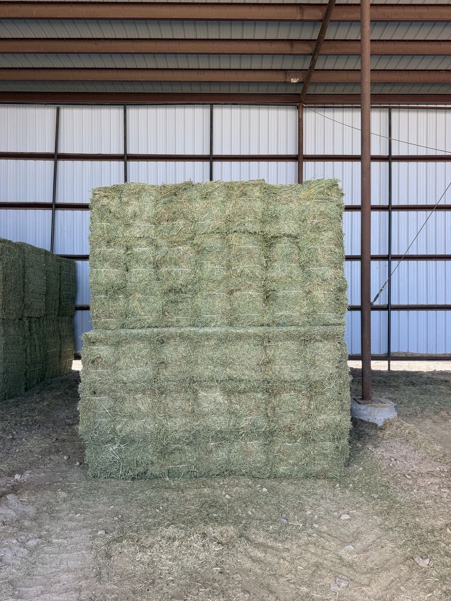 Premium 2-String Alfalfa Hay - 21 Bale Bundles