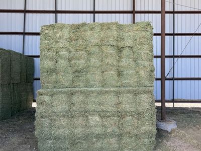 Premium 2-String Alfalfa Hay - 21 Bale Bundles