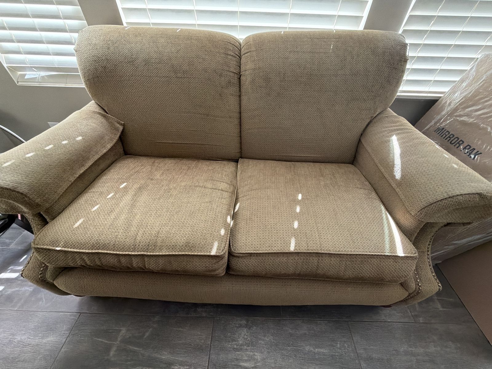 Love Seat and Sofa Sleeper