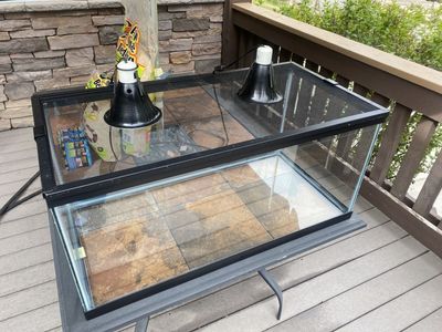 Aquarium, aquarium
