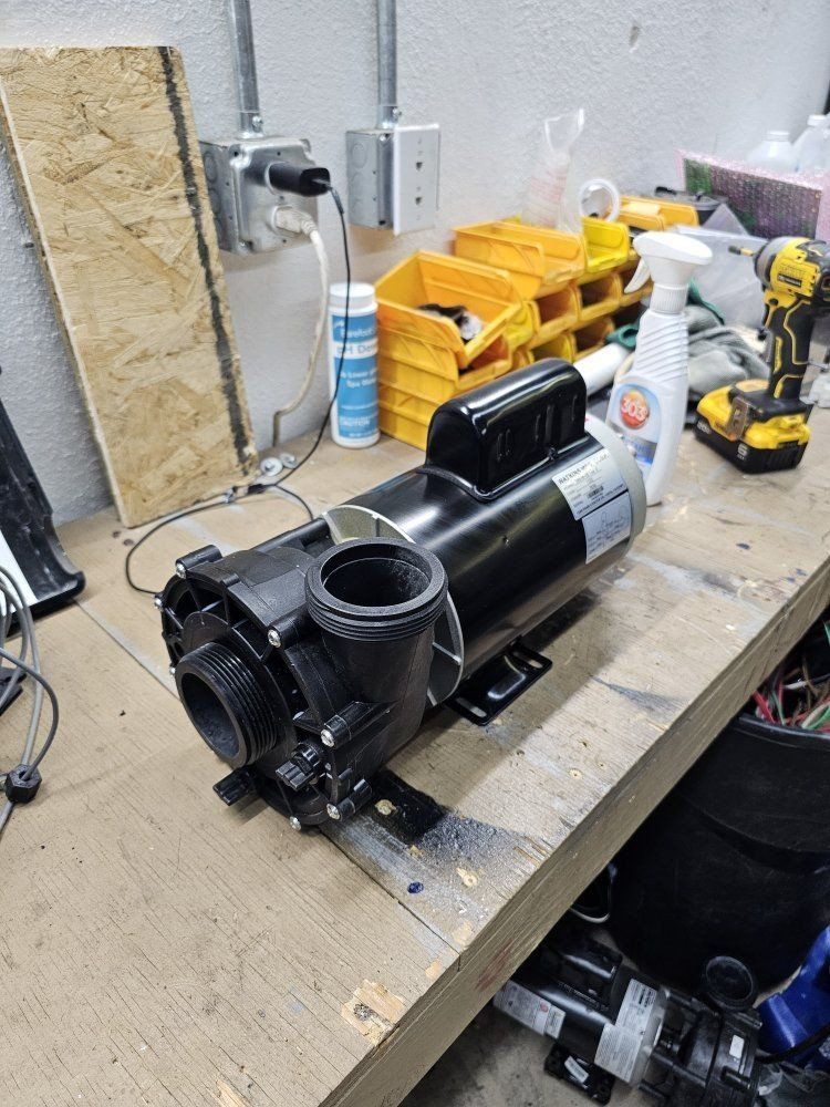 Watkins Pool & Spa Pump, 2.5HP, 230V