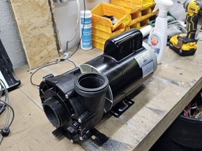 Watkins Pool & Spa Pump, 2.5HP, 230V