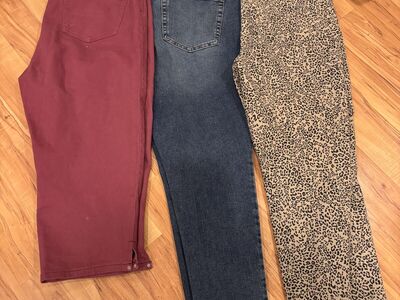 Women’s Size 16 Clothing Bundle All Pants