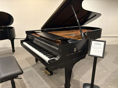 2001 Steinway & Sons Model D