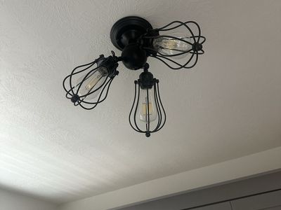 3 light flush mount fixture - Edison bulb with cage- 3 fixtures available