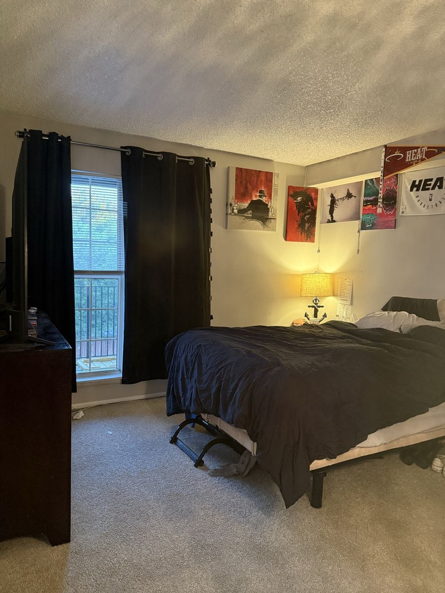 Main image 5