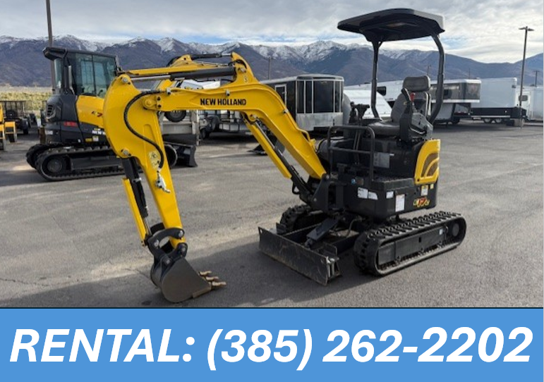 MINI EXCAVATOR 99$ a day