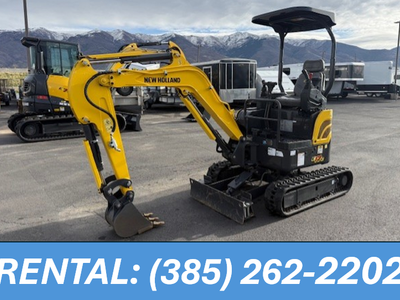 MINI EXCAVATOR 99$ a day