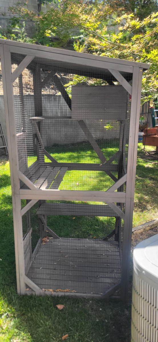 Catio