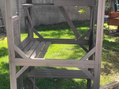 Catio