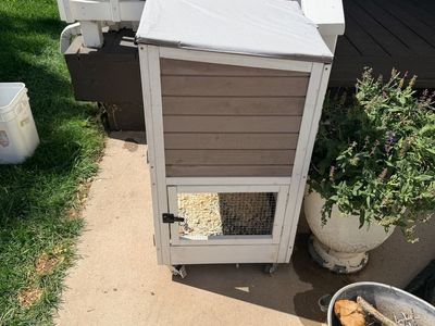 Rabbit hutch and accessories