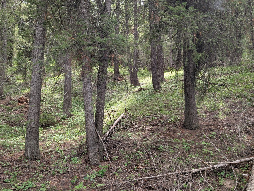 Main image 5