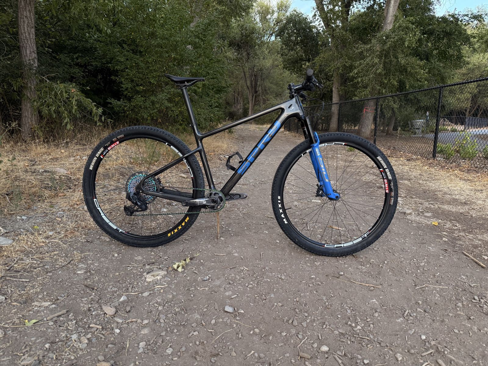 Custom Spry Bike