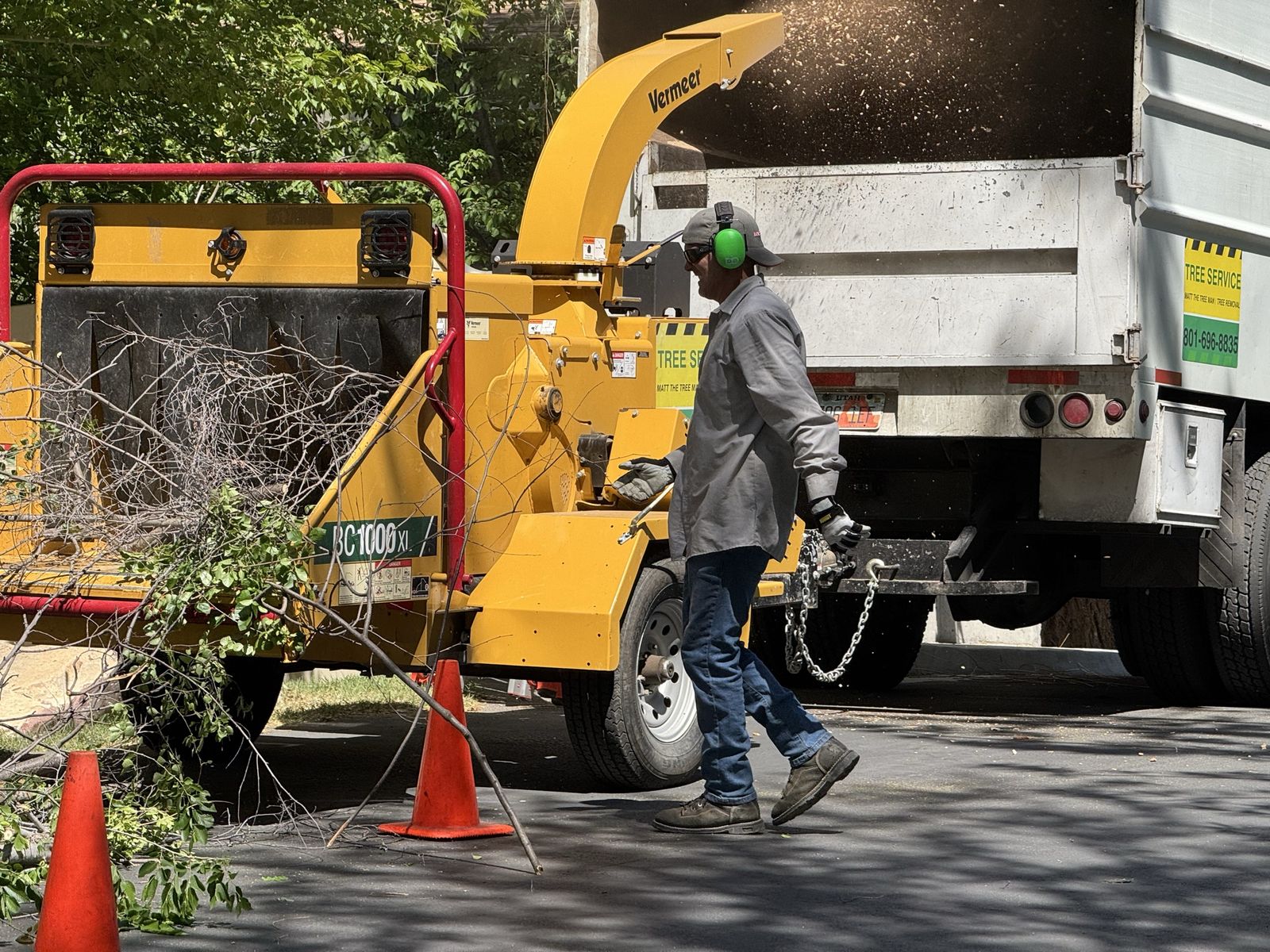 Tree removal & tree trimming