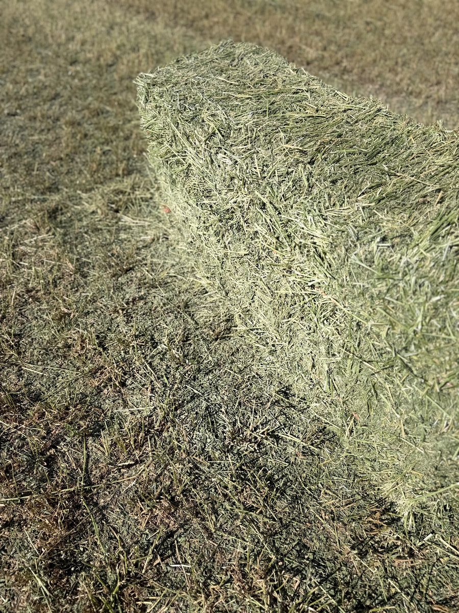 Main image 3