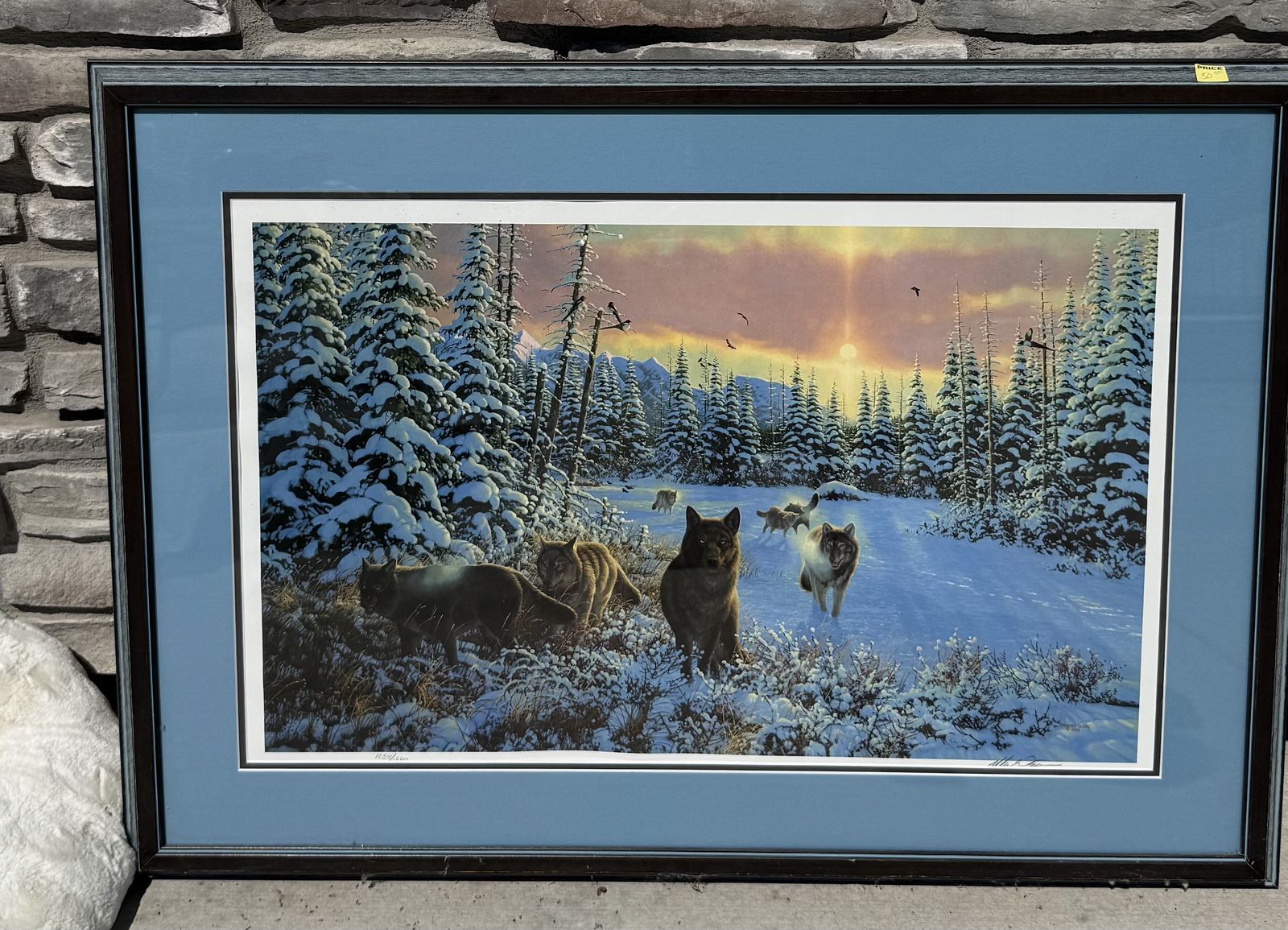 Wild Life Art