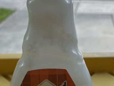 Scotchgard Oxy Spot and Stain Remover