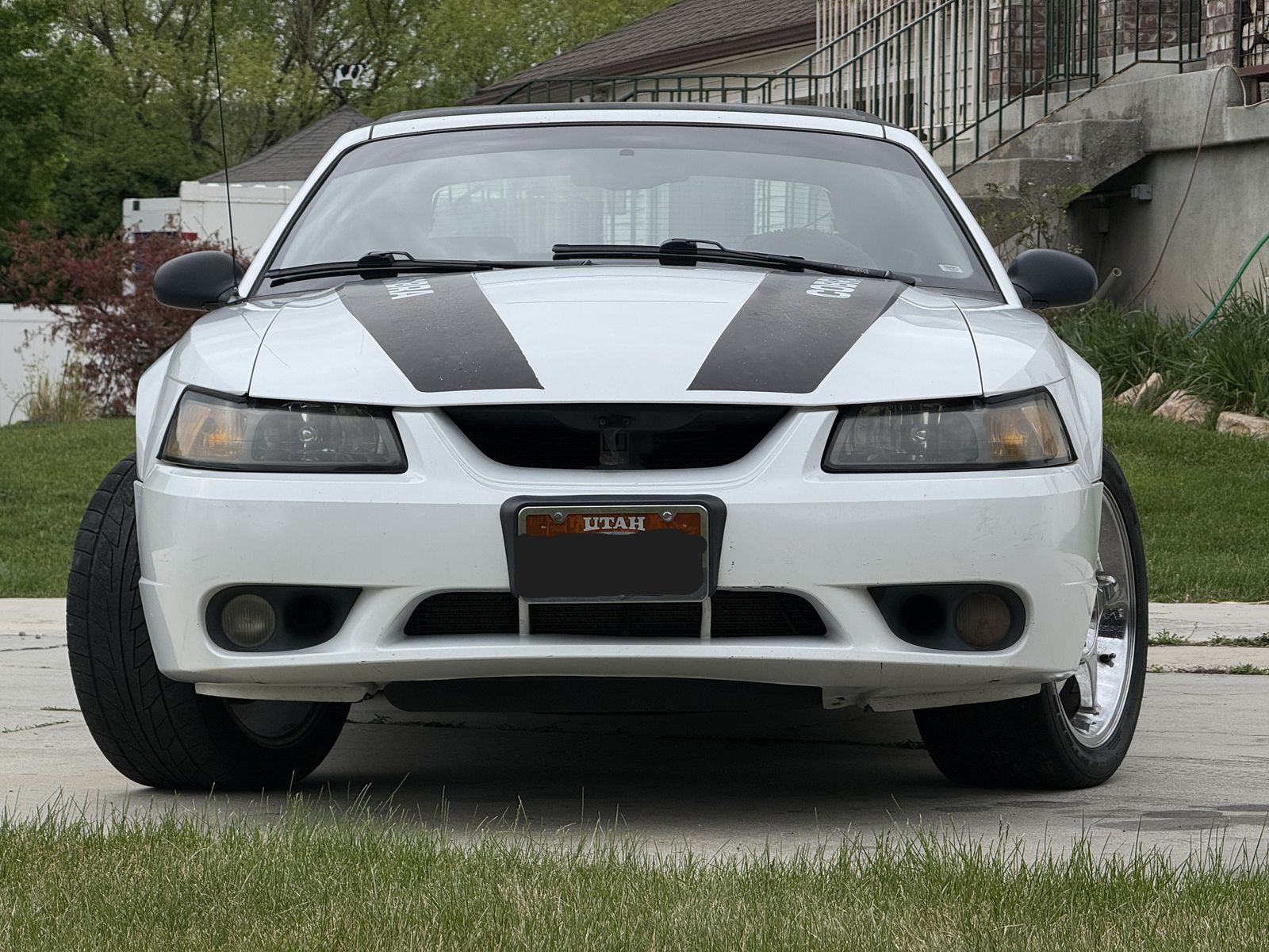 1999 Ford Mustang SVT Cobra Base