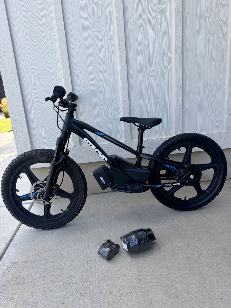 Stacyc 20eDrive