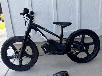 Stacyc 20eDrive