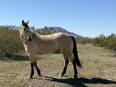 High-Caliber All-Around Prospect