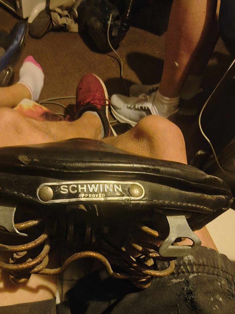 Schwinn bike seat 50 dollars OBO