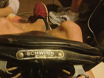 Schwinn bike seat 50 dollars OBO