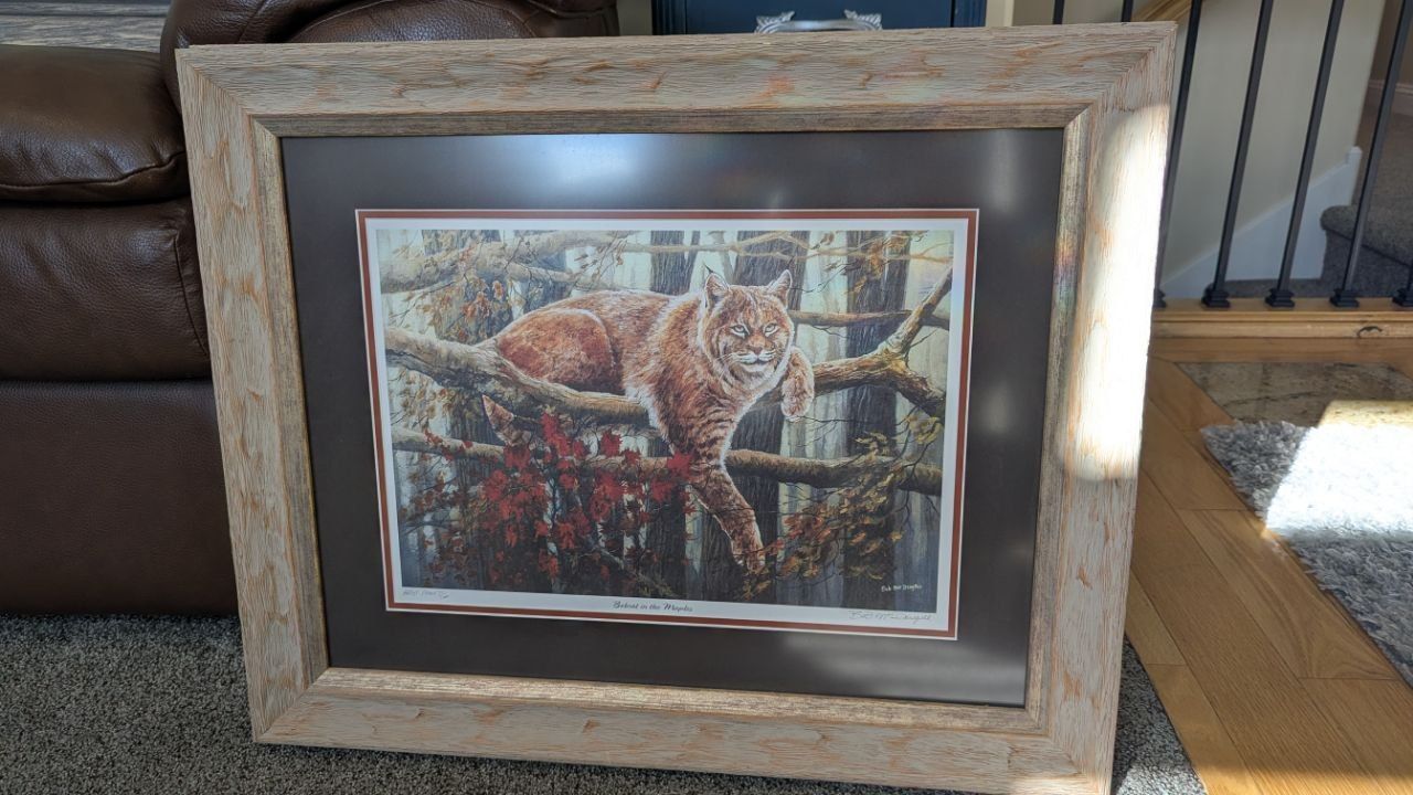 Bob MacDougall “Bobcat in the Maples” Signed Artist Proof