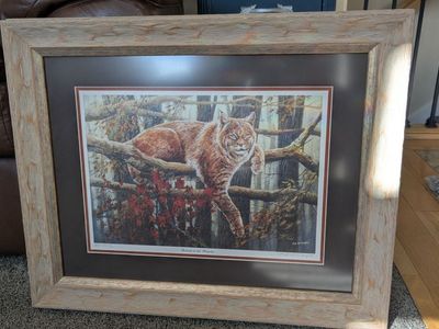 Bob MacDougall “Bobcat in the Maples” Signed Artist Proof