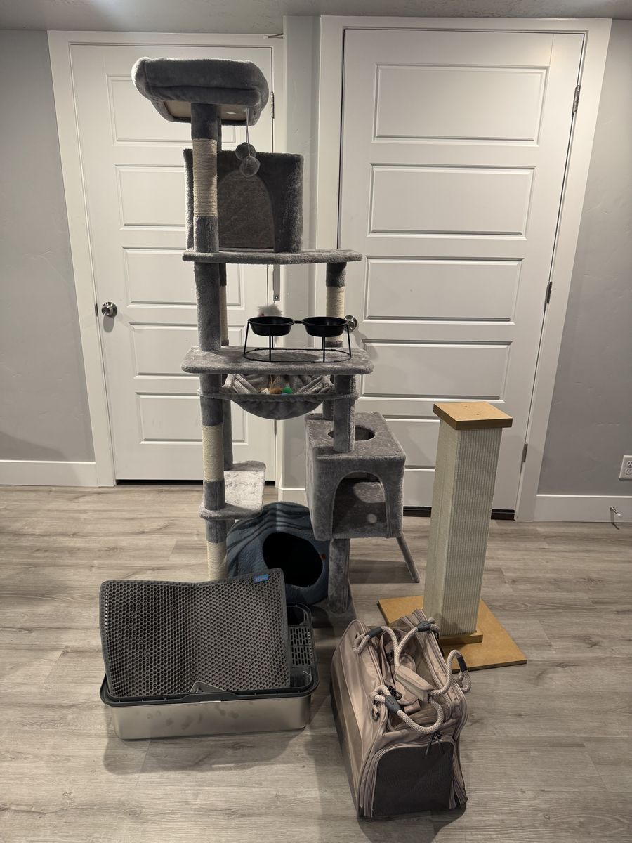 Cat Tree, scratch post, carrier, litter box bundle