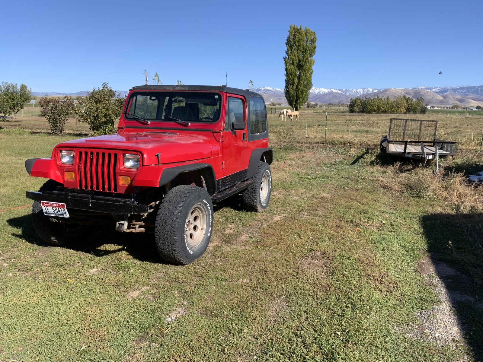 1993 JEEP WRANGLER Base