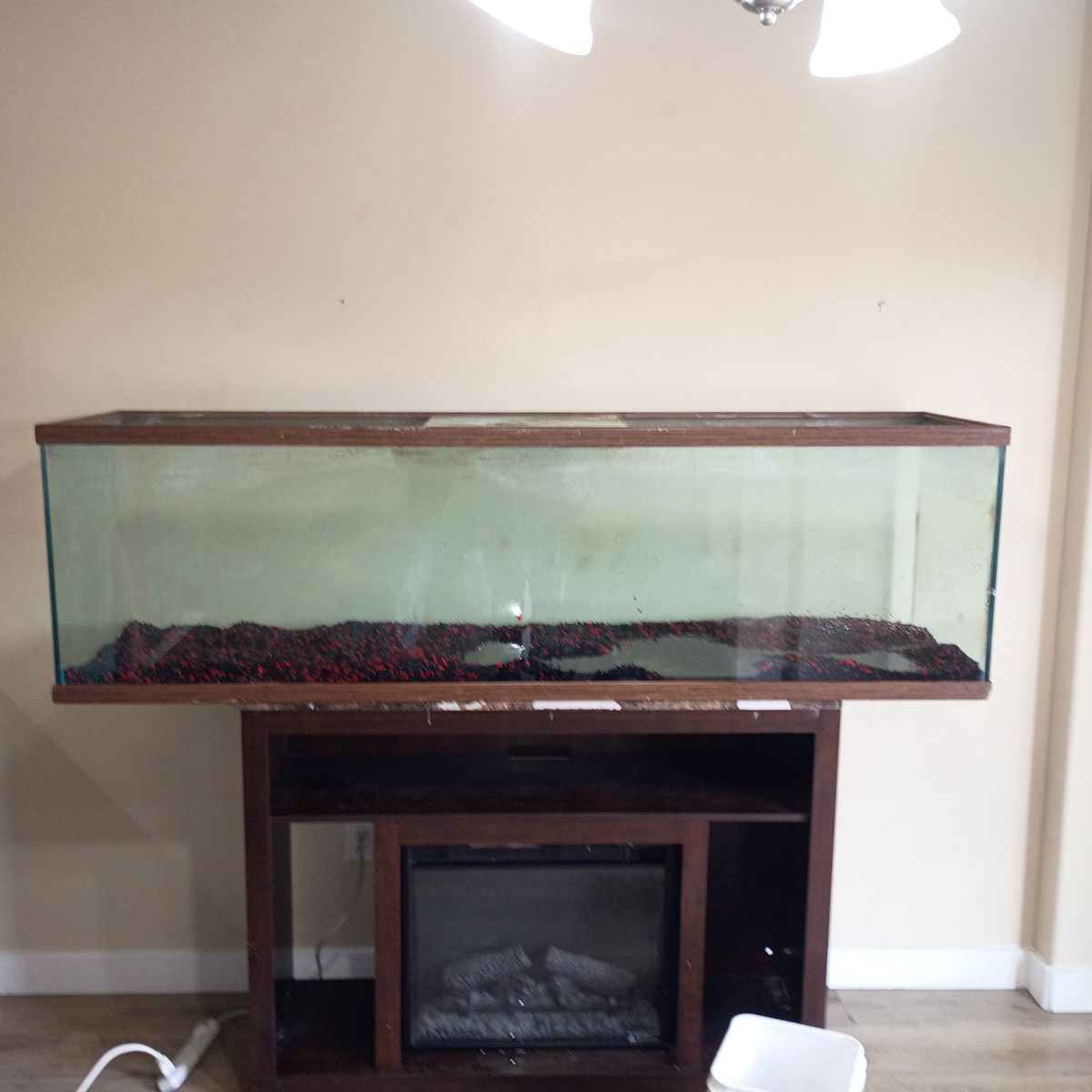 120 gallon fish tank with optional fish and stand