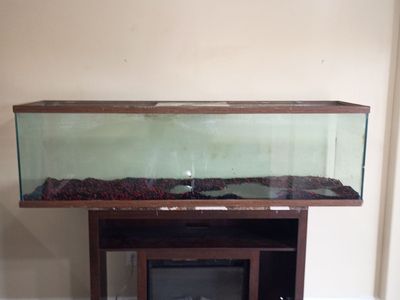 120 gallon fish tank with optional fish and stand