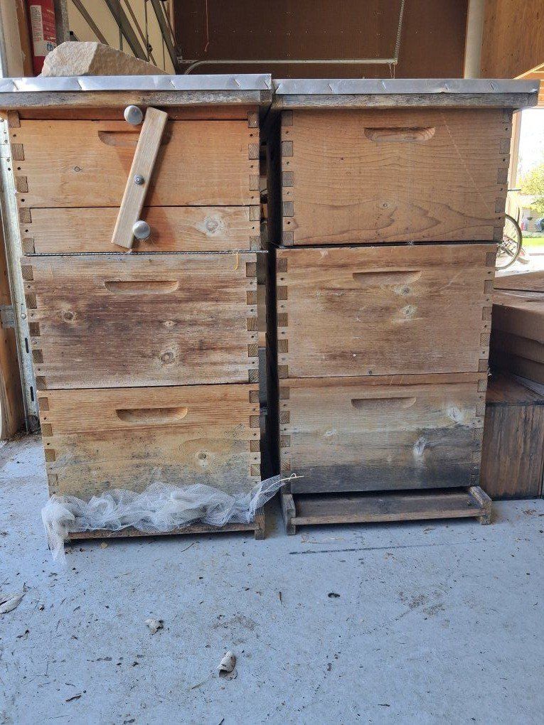 Flow hives and bee boxes
