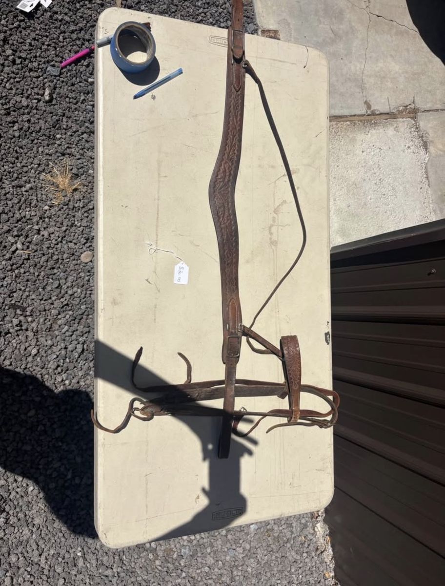 Horse tack