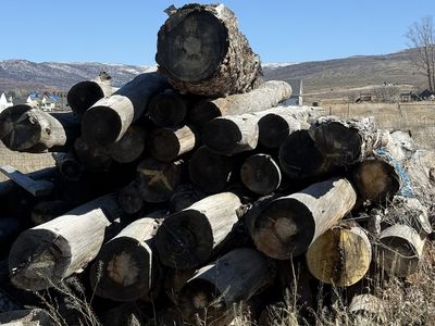 Stack Of Logs