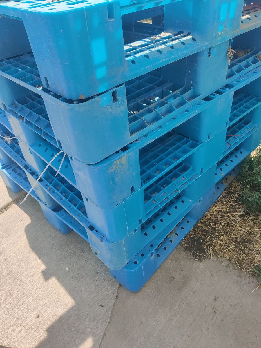 Blue plastic pallets