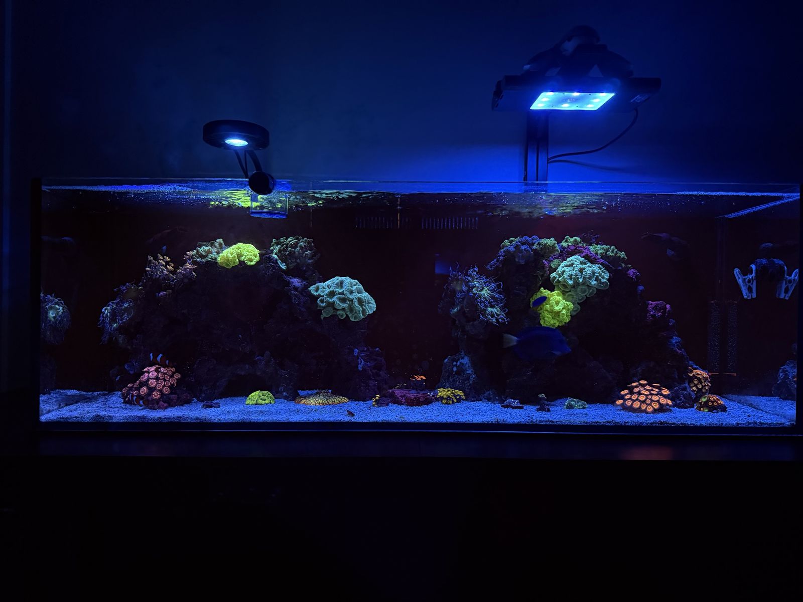 Tideline 62 aio with everything