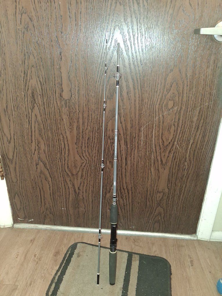 Browning Silaflex II Fishing Rod 2-Piece Graphite
