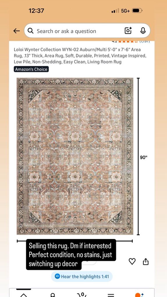 Loi Loi Wynter Auburn/ Multi Rug