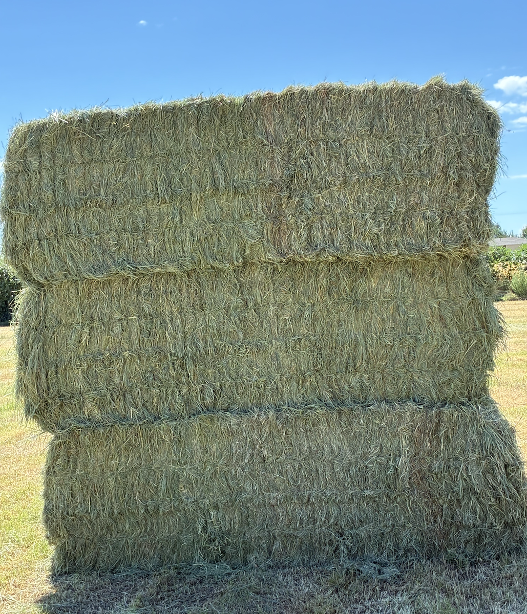 Premium Grass Hay
