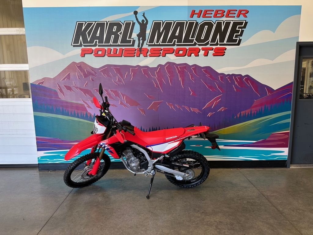 2025 Honda CRF300L Red - H00833-C