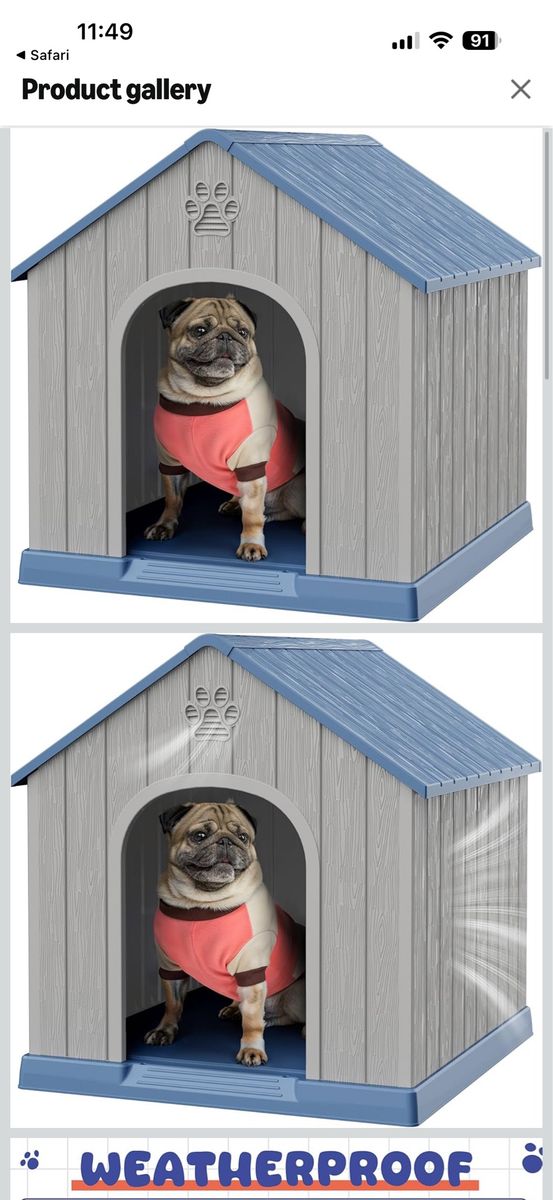 Brand new dog house