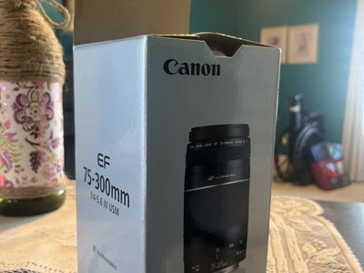 Canon Lens EF 75-300mm