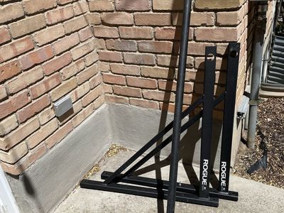 Rogue P-4 pull up bar