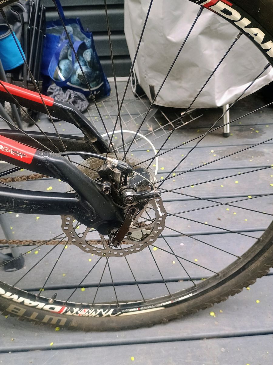 29"  21 speed Dimond Back Mountian Bike