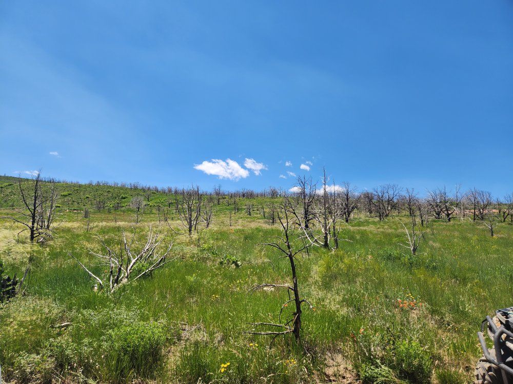 Main image 9