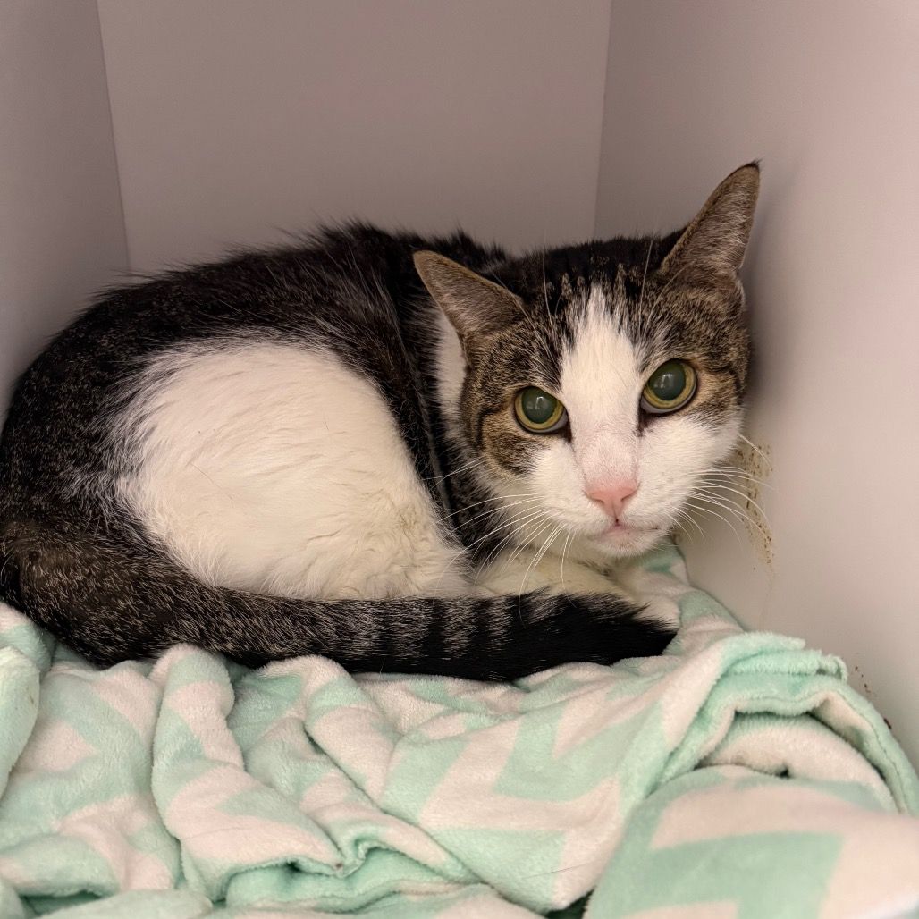 Hello my name is Marlton