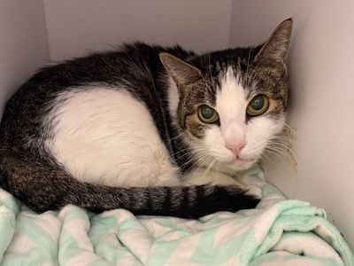 Hello my name is Marlton